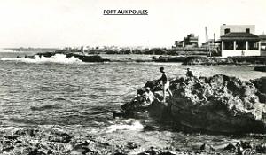 Port aux poules 110